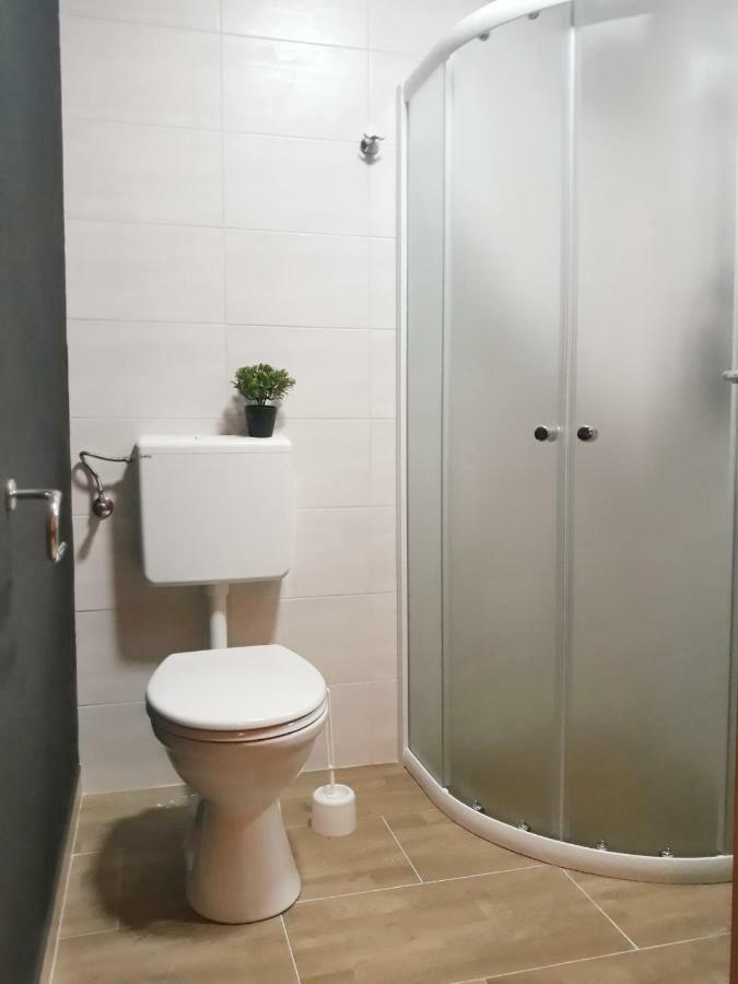 Villa Mihaela - Apartment Ika Cesarica Buitenkant foto